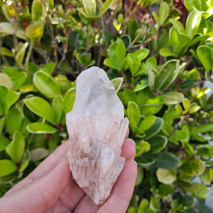Dumi's Crystals Pineapple Quartz Cluster (Candle Quartz) - Attract abundance & inner peace (3.8cm x 4.6cm x 10cm). Each unique cluster fosters clarity. 