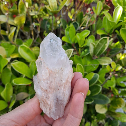 Crystal Magic for Home (Multiple): Dumi's Crystals Pineapple Quartz Clusters (Candle Quartz). Enhance energy & bring clarity (3.8cm x 4.6cm x 10cm). Each unique.