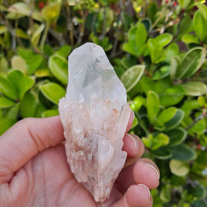 Embrace Pineapple Quartz Magic (1.5 inches): Dumi's Crystals Cluster (120g). Resembles a pineapple & a flame, promoting warmth & serenity.