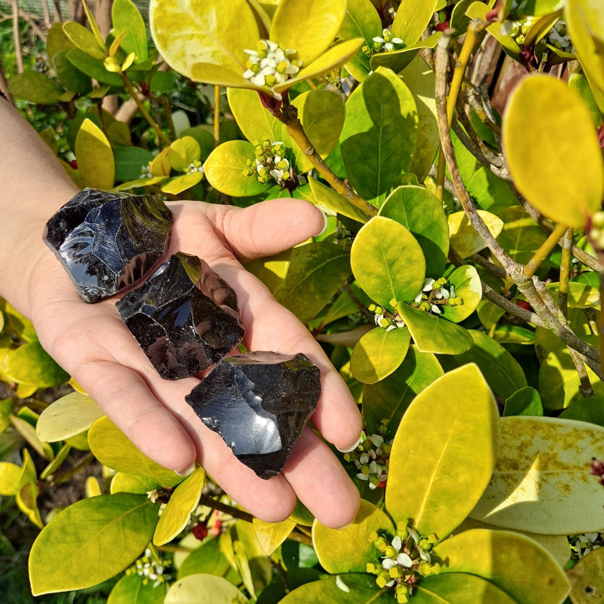 Dumi's Crystals | Rough Black Obsidian Crystals (Protection & Strength) | A handful of Rough Black Obsidian Crystals, each a shield against negativity. Renowned for grounding energy, emotional balance & psychic protection, hold them during meditation or carry them throughout the day to create a safe space, confront fears & cultivate inner strength. Embrace the power of Rough Black Obsidian.