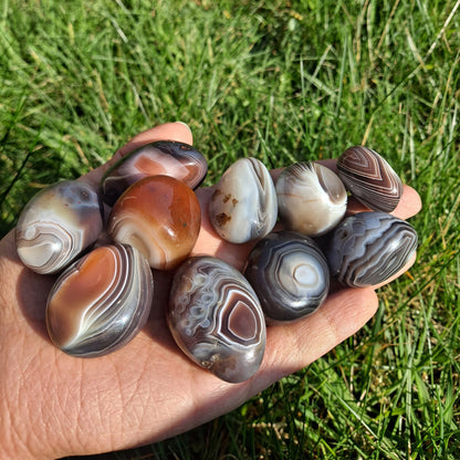 Dumi's Crystals | Botswana Agate Tumbled Stones (Harmony & Protection) | A handful of Botswana Agate Tumbled Stones, each with captivating colors and patterns. Renowned for promoting inner peace, grounding & spiritual growth, hold them during meditation or carry them throughout the day to cultivate a sense of balance and well-being.