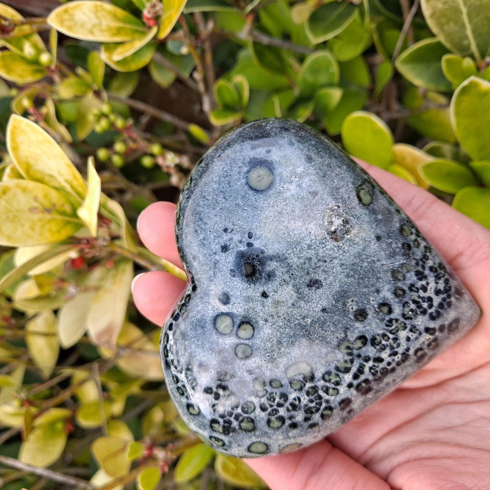 Dumi's Crystals | Largest Kambaba Jasper Heart Carving (Ultimate Renewal):  A stunning view of the largest Kambaba Jasper Heart Carving, a symbol of renewal and growth. Measuring 3.3 inches tall, its mesmerizing green hues & orbicular patterns connect you to the earth's energy. Embrace positive transitions & growth with Dumi's Crystals (ethically sourced).