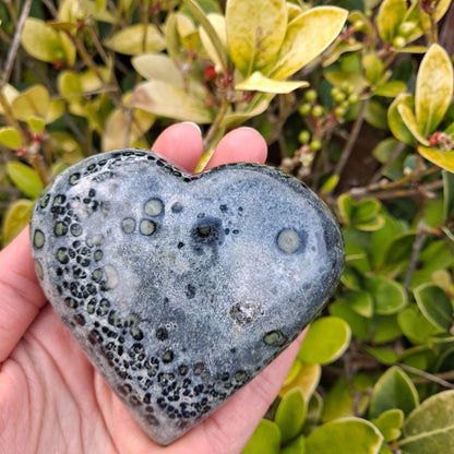 Dumi's Crystals | Largest Kambaba Jasper Heart Carving (Ultimate Renewal):  A stunning view of the largest Kambaba Jasper Heart Carving, a symbol of renewal and growth. Measuring 3.3 inches tall, its mesmerizing green hues & orbicular patterns connect you to the earth's energy. Embrace positive transitions & growth with Dumi's Crystals (ethically sourced).