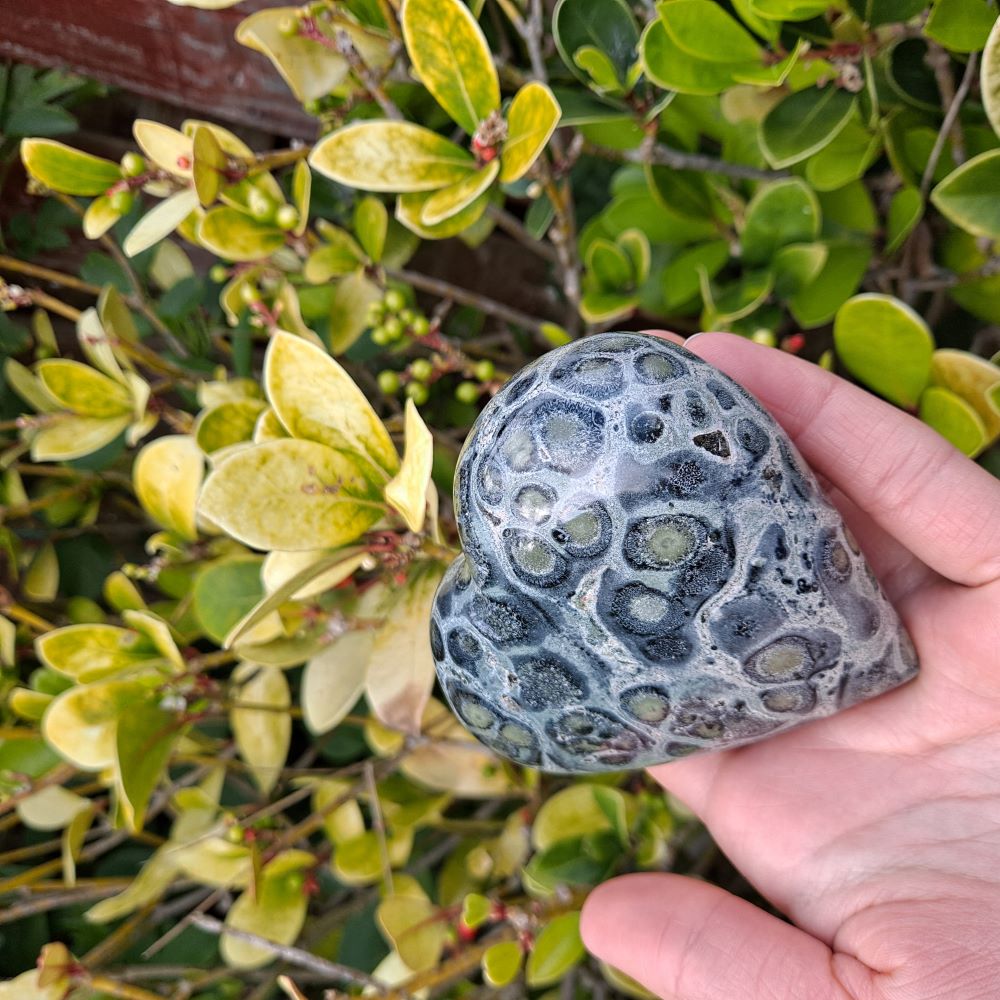 Dumi's Crystals | Largest Kambaba Jasper Heart Carving (Earth's Embrace):  Indulge in the grounding energy of the largest Kambaba Jasper Heart Carving. Hand-crafted to showcase its natural beauty, this impressive heart fosters emotional well-being, spiritual growth & a profound connection to the earth. Dumi's Crystals - Ethically sourced crystals for your journey.