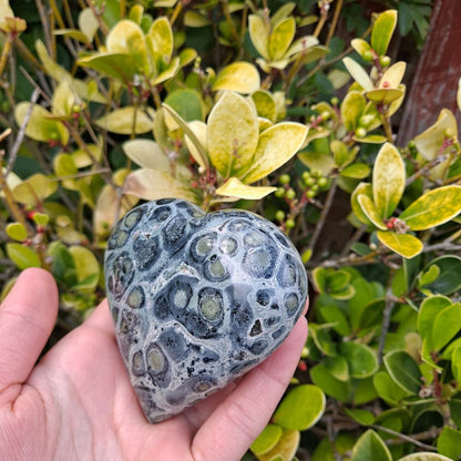 Dumi's Crystals | Largest Kambaba Jasper Heart Carving (Earth's Embrace):  Indulge in the grounding energy of the largest Kambaba Jasper Heart Carving. Hand-crafted to showcase its natural beauty, this impressive heart fosters emotional well-being, spiritual growth & a profound connection to the earth. Dumi's Crystals - Ethically sourced crystals for your journey.