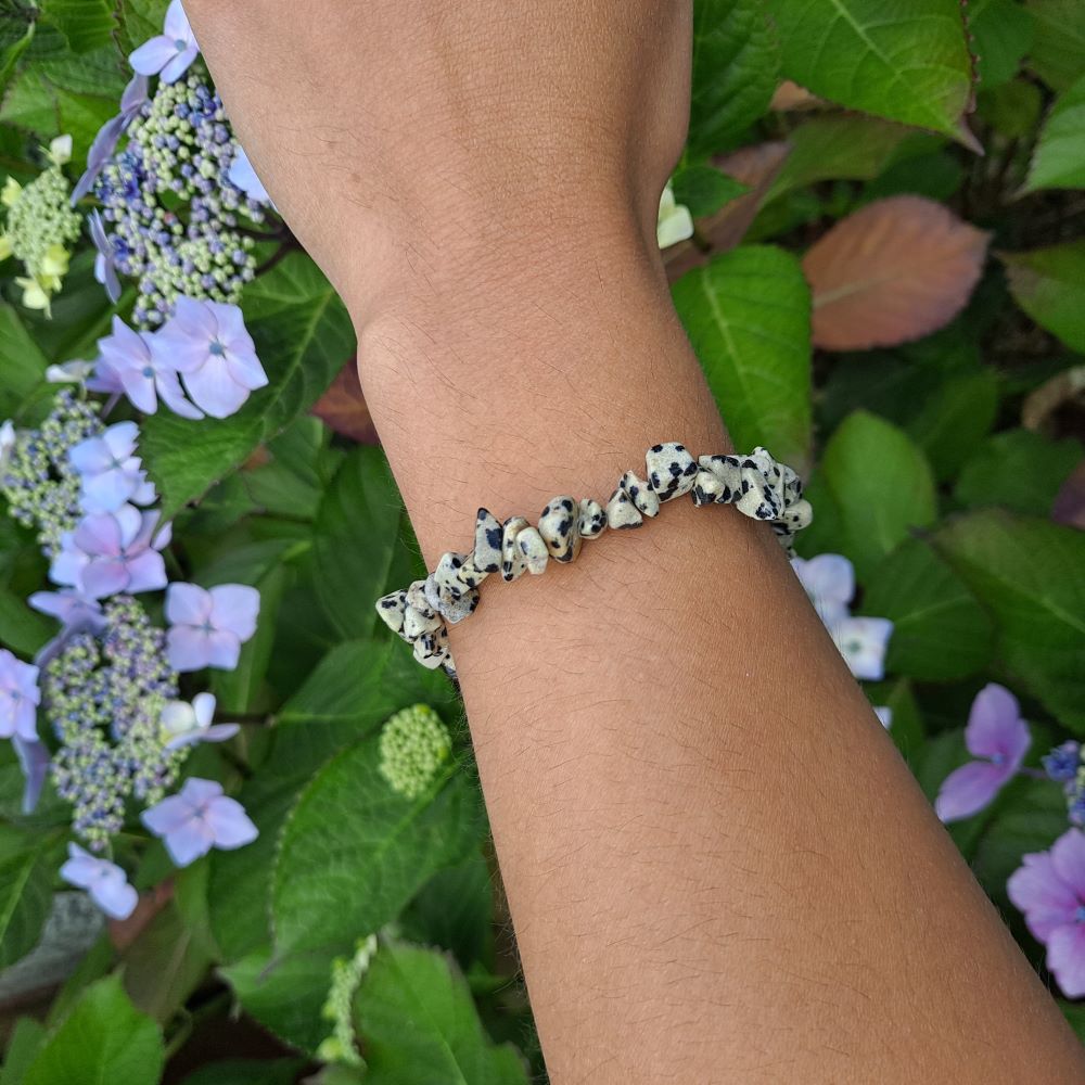 Dumi's Crystals | Dalmatian Jasper Chip Stretch Bracelet (7 Inch) | Showcasing the playful charm of Dalmatian Jasper chips on a wrist. This bracelet promotes joy, protection, and emotional well-being. Dalmatian Jasper, a unique type of Jasper, is known for its grounding properties.