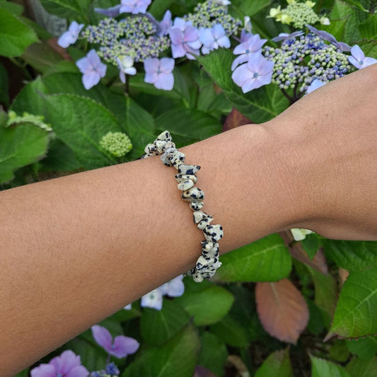 Dumi's Crystals | Dalmatian Jasper Chip Stretch Bracelet (7 Inch) | Showcasing the playful charm of Dalmatian Jasper chips on a wrist. This bracelet promotes joy, protection, and emotional well-being. Dalmatian Jasper, a unique type of Jasper, is known for its grounding properties.