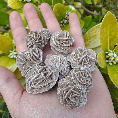 desert rose selenite rough stone crystal dumiscrystals