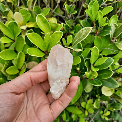 Dainty Pineapple Power (Candle Quartz)! Dumi's Crystals Cluster (110g). Enhance focus & clarity. Unique piece measures 3cm x 3.8cm x 7.6cm.