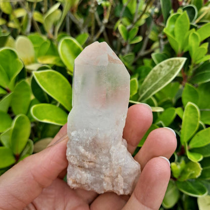 Spark Transformation (Atlantean Lovestar): Dumi's Crystals Dainty Pineapple Quartz Cluster (3cm x 3.8cm x 7.6cm). Each unique piece fosters spiritual growth.