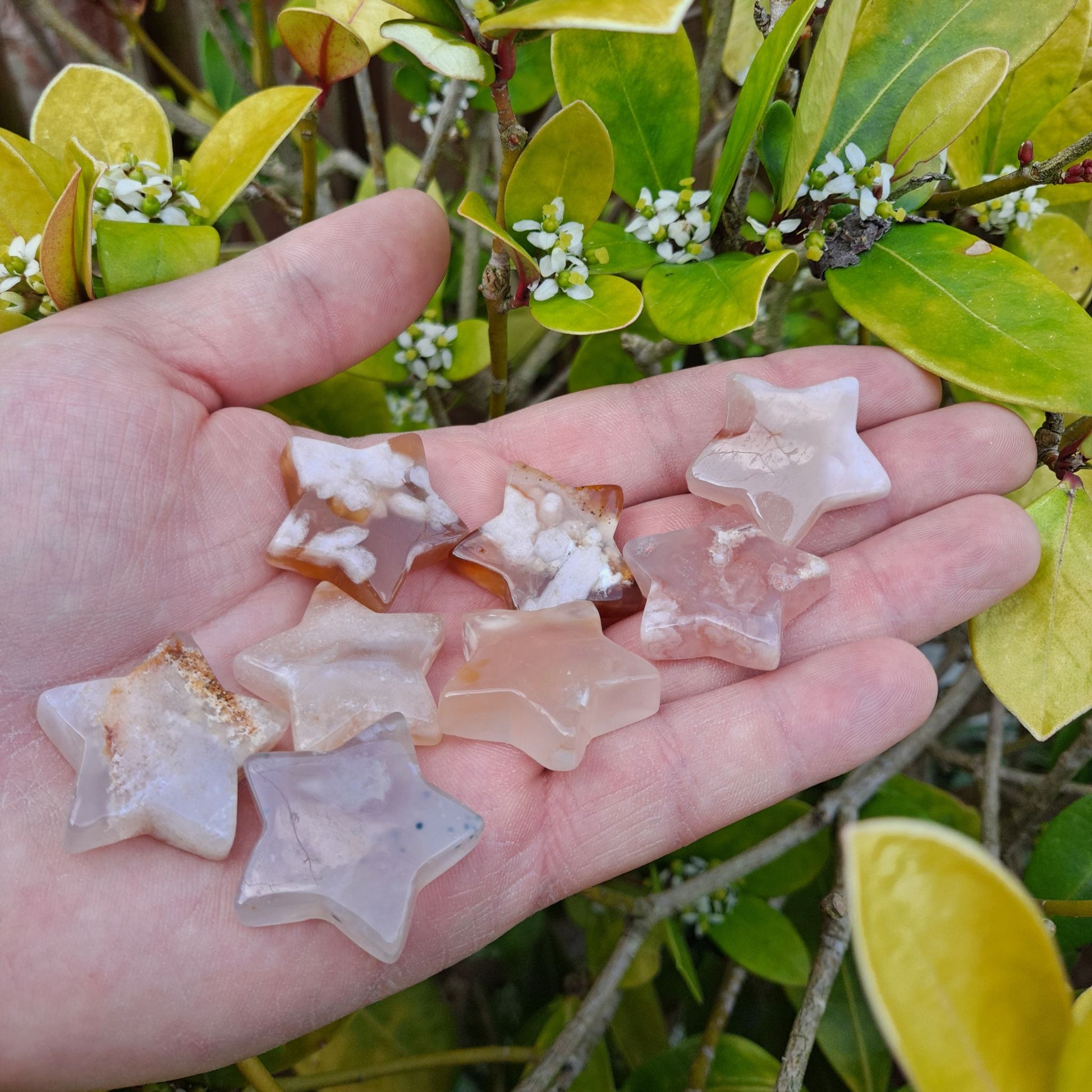 Dumi's Crystals Flower Agate Star Carving (30x30mm): Pink & white hues radiate hope, optimism & inspiration. Fosters creativity & new beginnings. 