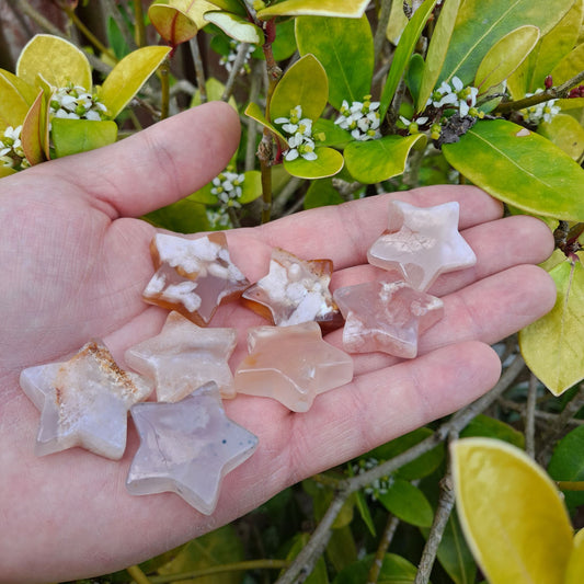 Dumi's Crystals Flower Agate Star Carving (30x30mm): Pink & white hues radiate hope, optimism & inspiration. Fosters creativity & new beginnings. 