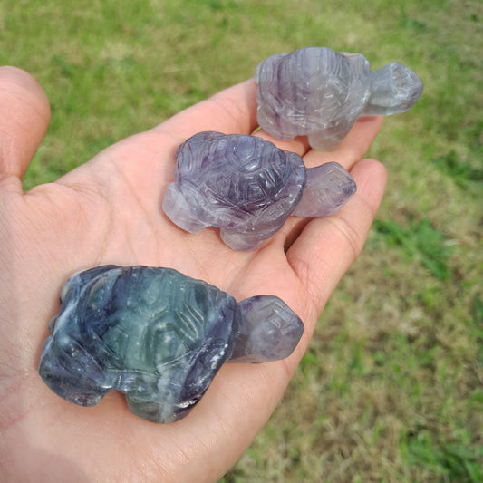 Dumi's Crystals Fluorite Tortoise Carvings: A collection of captivating gemstones for focus, mental clarity, and grounded energy.