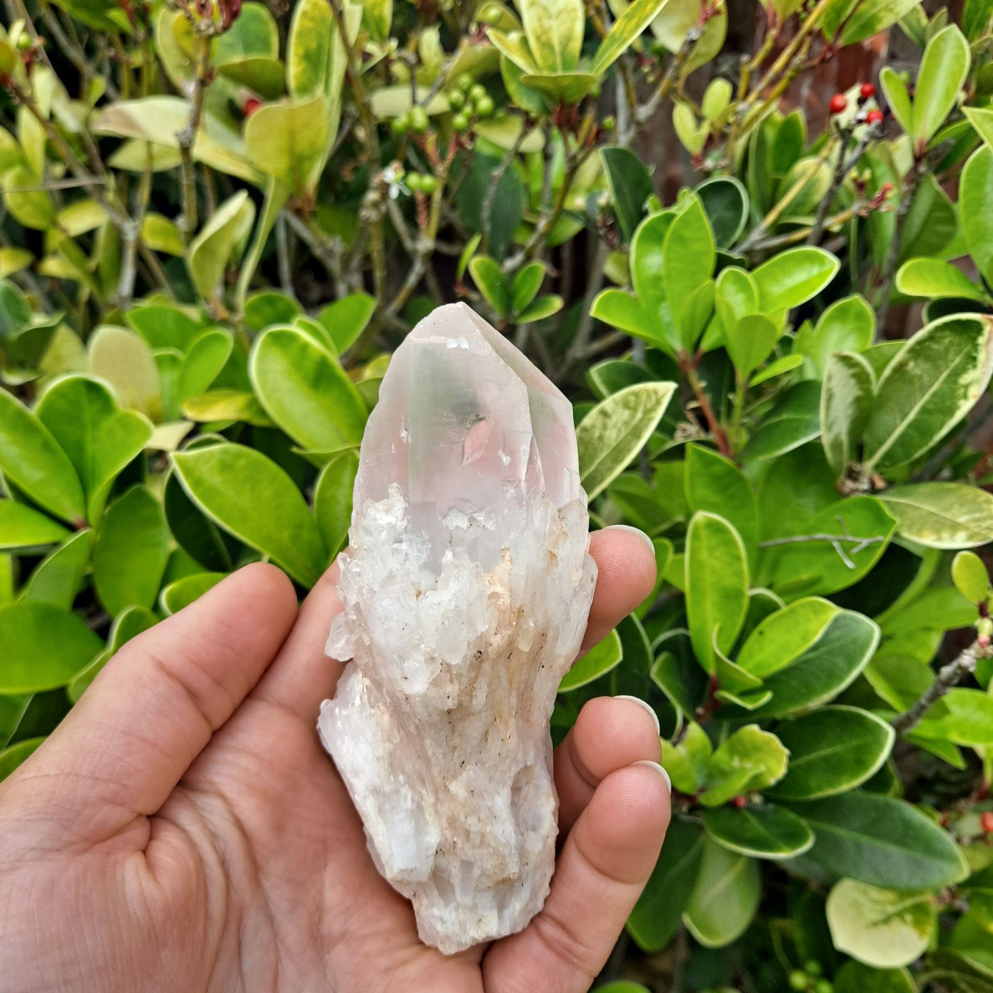 Dumi's Crystals Large Pineapple Quartz Cluster (Candle Quartz) - Attract abundance & peace (substantial size). Each unique cluster fosters clarity.