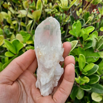 Large Pineapple Power (Candle Quartz)! Dumi's Crystals Cluster (185g). Enhances focus & clarity. Substantial size, captivating beauty.