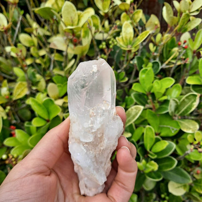 Spark Transformation (Atlantean Lovestar): Dumi's Crystals Large Pineapple Quartz Cluster. Each unique piece fosters spiritual growth (substantial size). 