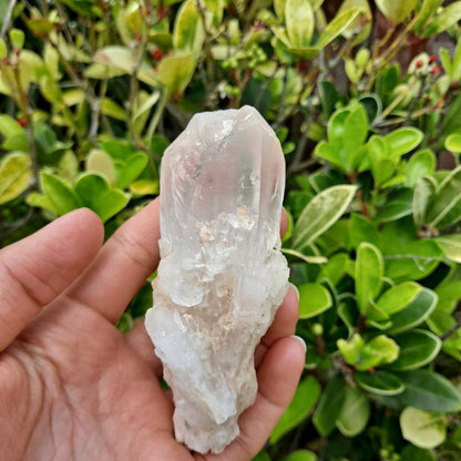 Crystal Magic for Statement Pieces (Multiple): Dumi's Crystals Large Pineapple Quartz Clusters (Candle Quartz). Enhance energy & bring clarity (substantial size). Each unique. 