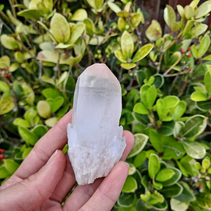 Spark Transformation (Atlantean Lovestar): Dumi's Crystals Petite Powerhouse Pineapple Quartz Cluster (3cm x 3.8cm x 7.8cm). Fosters spiritual growth in a compact form.