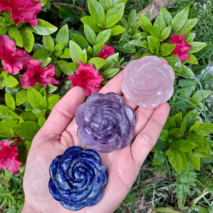 Dumi's Crystals | Amethyst Rose Carving (Peace & Tranquility) | A handful of Amethyst Rose Carvings radiate calming energy. Amethyst, February's birthstone, promotes peace, spiritual awareness & beauty. Hold them during meditation or display in your home to cultivate tranquility, uplift your spirit & connect with your inner wisdom. Embrace the magic of Amethyst Rose Carvings from Dumi's Crystals!