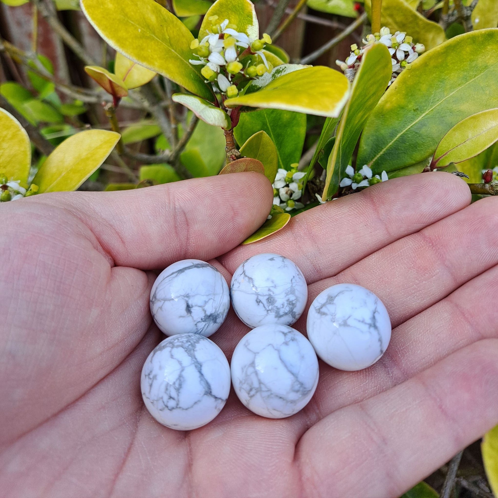 Dumi's Crystals | Howlite Mini Spheres (20mm) | A collection of captivating Howlite Mini Spheres, each displaying unique variations of white with marbled patterns. These 20mm spheres are believed to promote peace, tranquility, and emotional balance. Perfect for meditation, crystal grids, or carrying with you throughout the day.