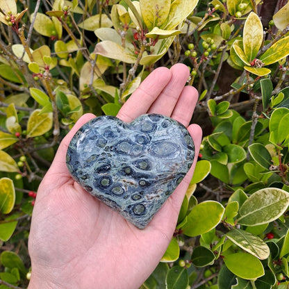 Dumi's Crystals | Unique Kambaba Jasper Heart Carving (Growth & Harmony): A stunning view of a unique Kambaba Jasper Heart Carving, a symbol of growth & harmony. Measuring 3 inches tall, its rich green hues & orbicular patterns connect you to the earth's energy. Embrace positive change with Dumi's Crystals (ethically sourced).