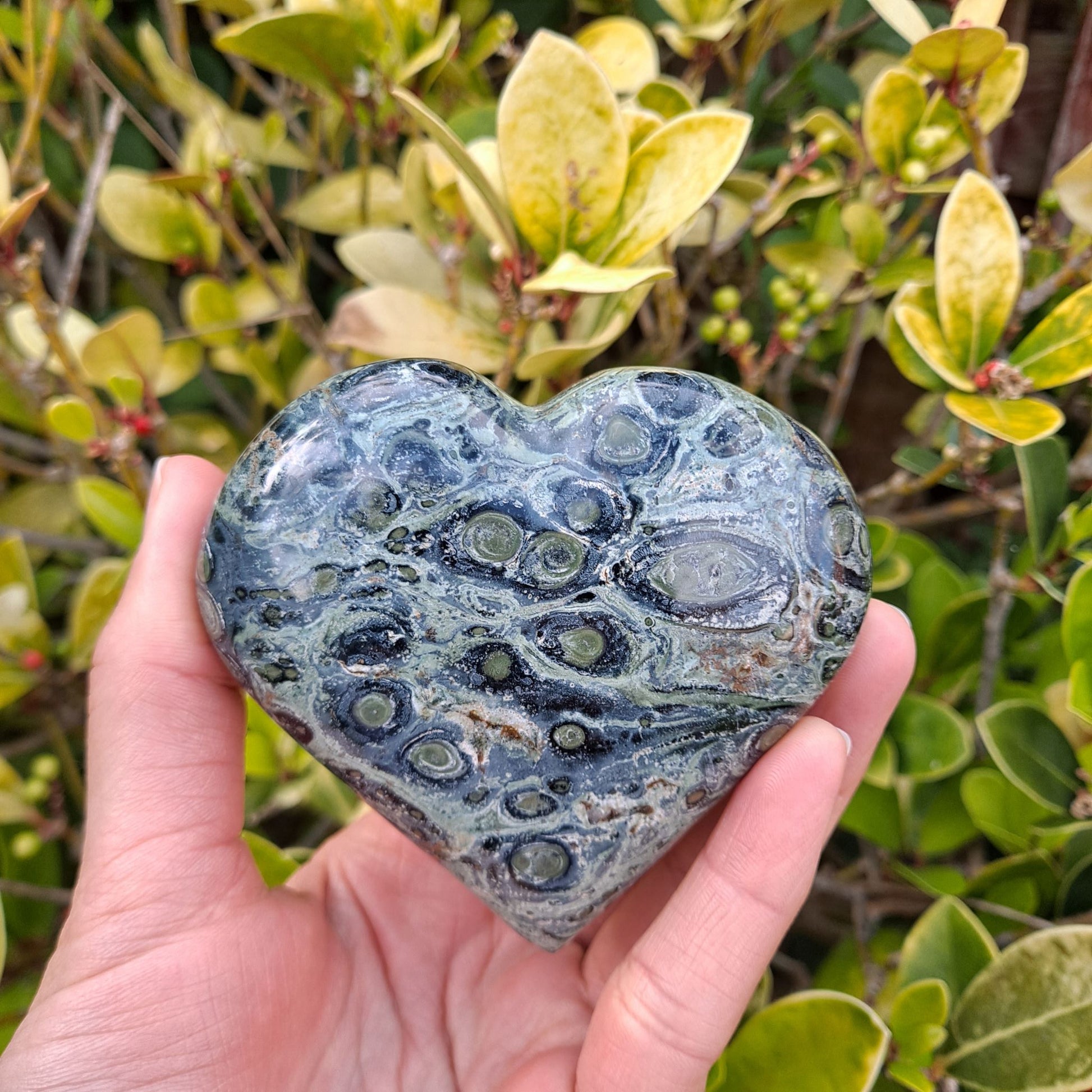 Dumi's Crystals | Unique Kambaba Jasper Heart Carving (Deep Tranquility): A captivating close-up of a unique Kambaba Jasper Heart Carving, showcasing mesmerizing green hues & orbicular patterns. This "Supreme Nurturer" radiates deep tranquility & emotional balance. Find peace with Dumi's Crystals (ethically sourced).