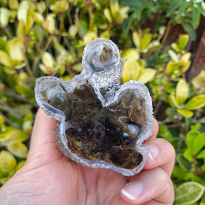 Dazzling Labradorite crystal Poodle. Ethically sourced crystals bring beauty and positive energy to your space.