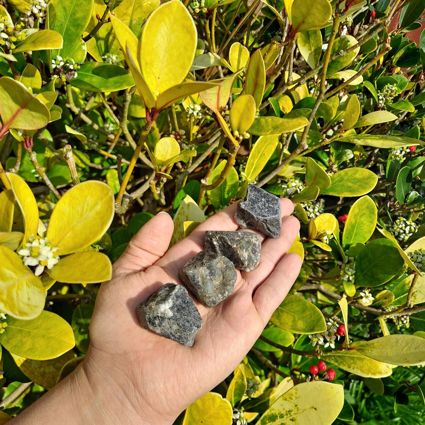 Dumi's Crystals | Rough Labradorite Crystals (Magic & Protection) | A handful of Rough Labradorite Crystals radiate mystical energy. Renowned for promoting spiritual awakening, protection & inner peace, hold them during meditation or carry them throughout the day to cultivate intuition, ground your energy & connect with your inner wisdom. Embrace the magic of Rough Labradorite from Dumi's Crystals!