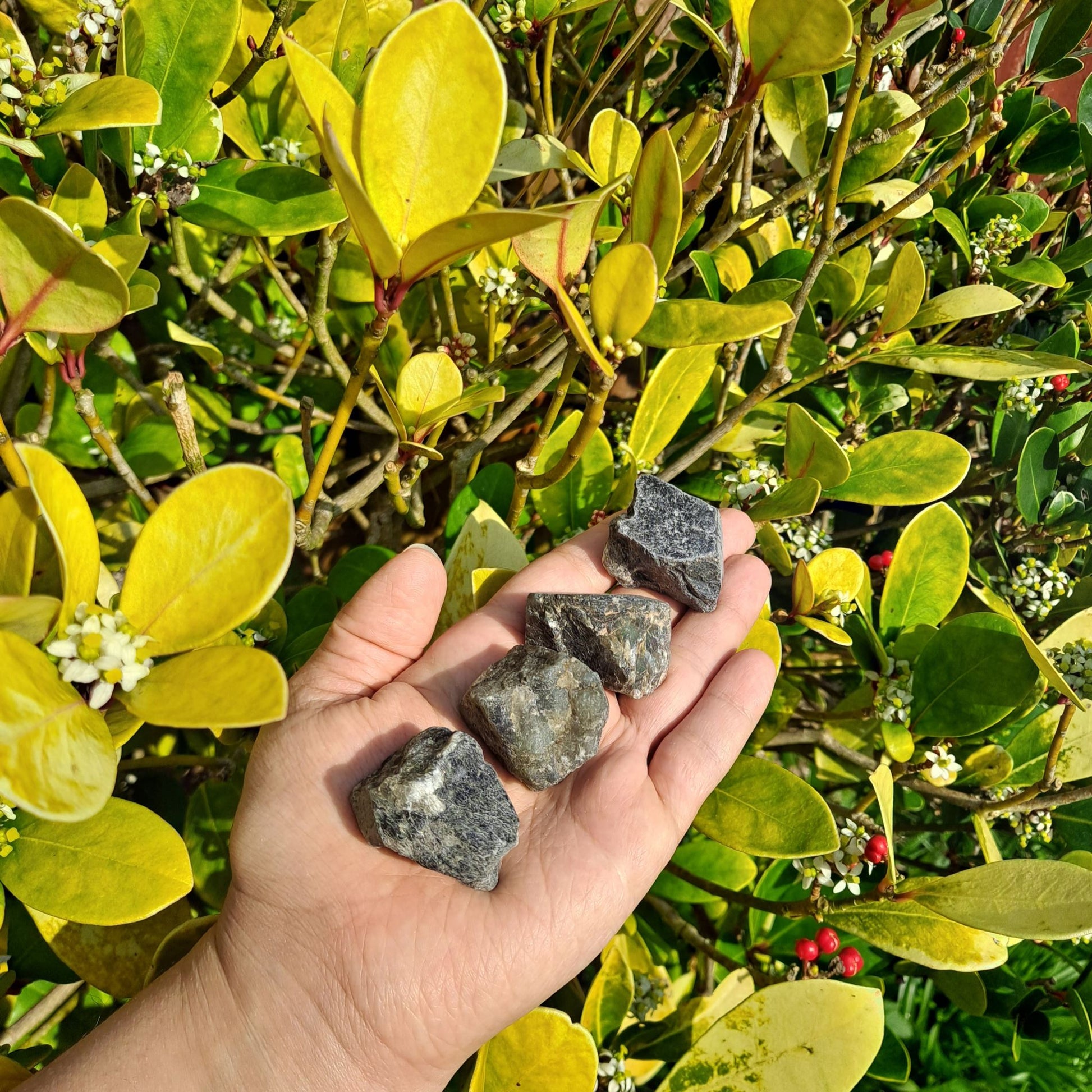 Dumi's Crystals | Rough Labradorite Crystals (Magic & Protection) | A handful of Rough Labradorite Crystals radiate mystical energy. Renowned for promoting spiritual awakening, protection & inner peace, hold them during meditation or carry them throughout the day to cultivate intuition, ground your energy & connect with your inner wisdom. Embrace the magic of Rough Labradorite from Dumi's Crystals!
