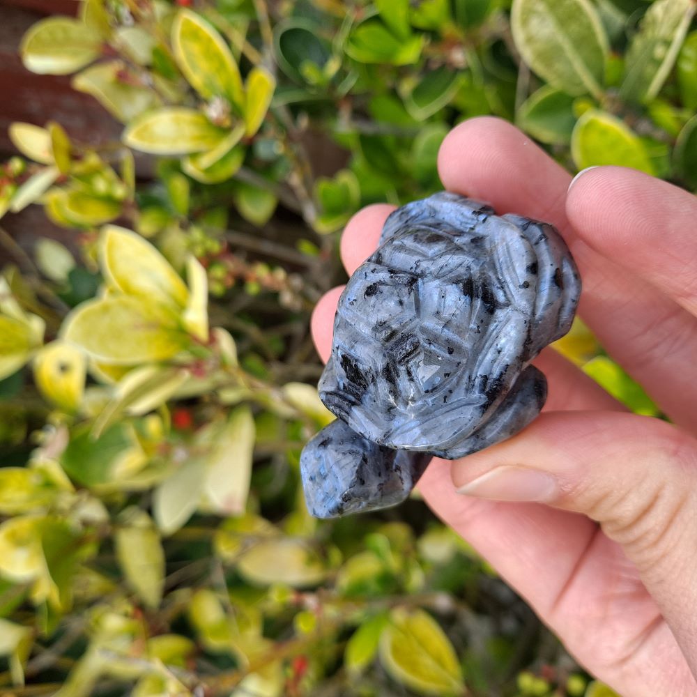 Hand-crafted Larvikite Tortoise Carving: Made from genuine Norwegian Moonstone, promotes grounding energy and wisdom.