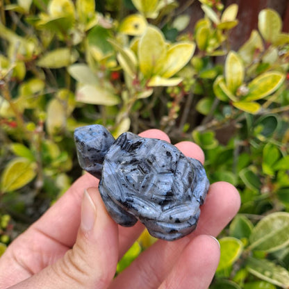 Hand-crafted Larvikite Tortoise Carving: Made from genuine Norwegian Moonstone, promotes grounding energy and wisdom.