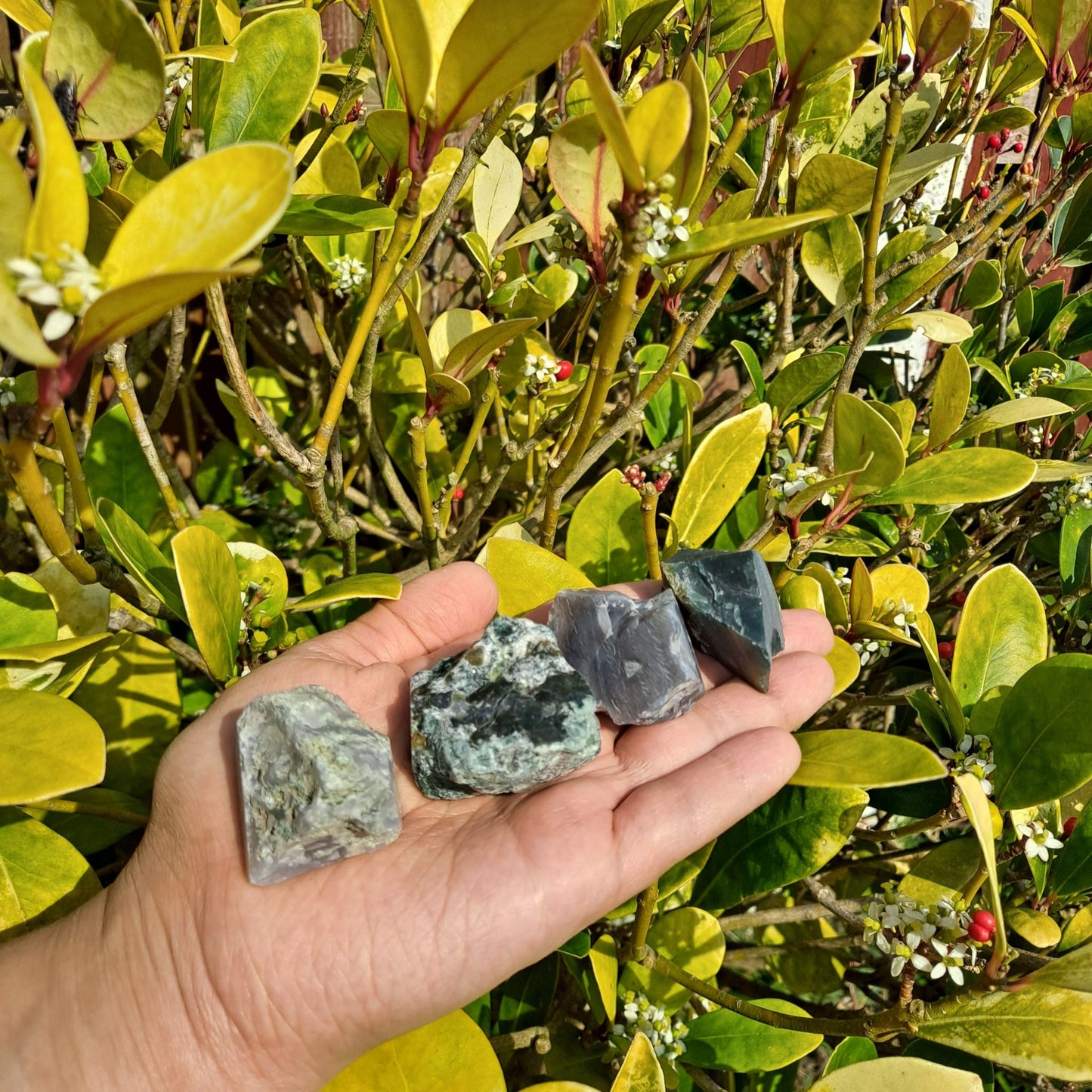 moss agate rough stone crystal dumiscrystals