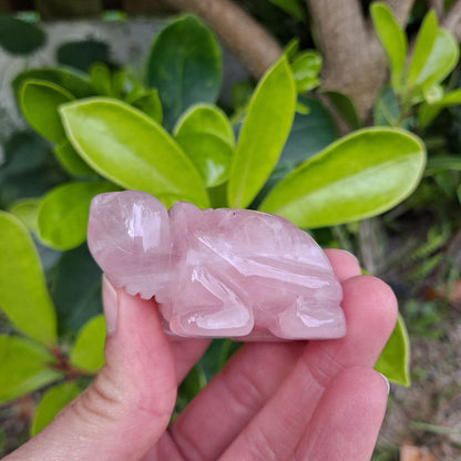 rose quartz healing crystals hand carved tortoise dumiscrystals