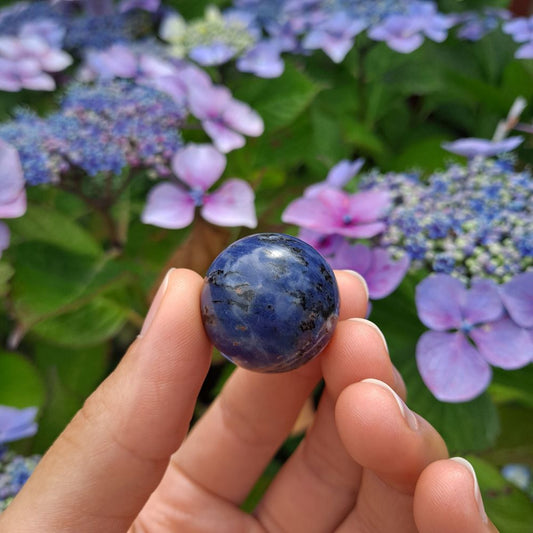 Dumi's Crystals | Sodalite Sphere (25mm) | A close-up view of a captivating Sodalite Sphere (25mm), showcasing its vibrant blue hues with flecks of white. This substantial stone, known as the Stone of Logic, is believed to promote mental clarity, peace, and clear communication. It's also thought to reduce stress and boost confidence.