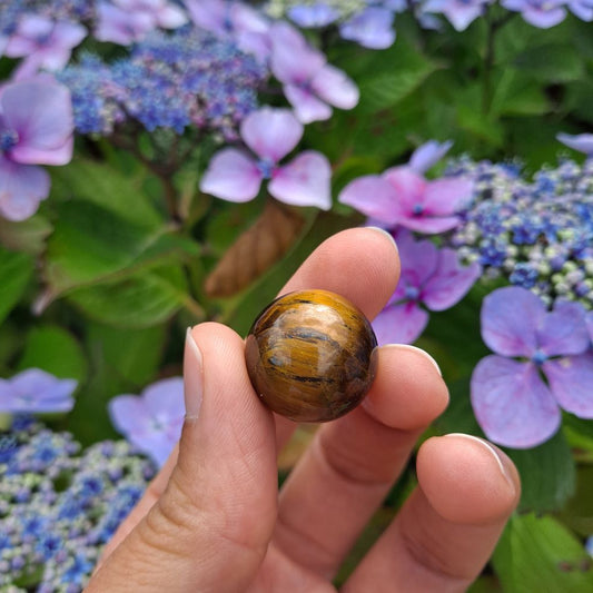 Dumi's Crystals | Tiger's Eye Mini Sphere (20mm) | A close-up view of a captivating Tiger's Eye Mini Sphere (20mm), showcasing its warm golden hues and chatoyant sheen. This powerful stone, known as the Stone of Courage, is believed to promote inner strength, confidence, and protection. It's also thought to enhance focus and keep you grounded.