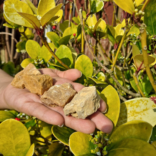 Dumi's Crystals | Rough Yellow Aventurine Crystals (Joy & Abundance) | A handful of Rough Yellow Aventurine Crystals radiate sunny warmth. Renowned for attracting prosperity, boosting self-confidence & promoting joy, hold them during meditation or carry them throughout the day to cultivate optimism, embrace opportunities & illuminate your life with abundance.